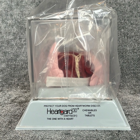 New Heartworm Model - Picture 2 of 8